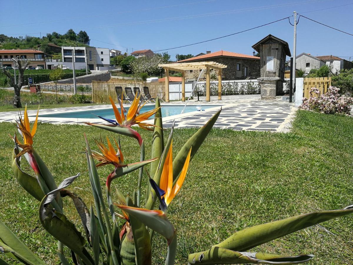 Abrigo Das Andorinhas Aveiro Extérieur photo